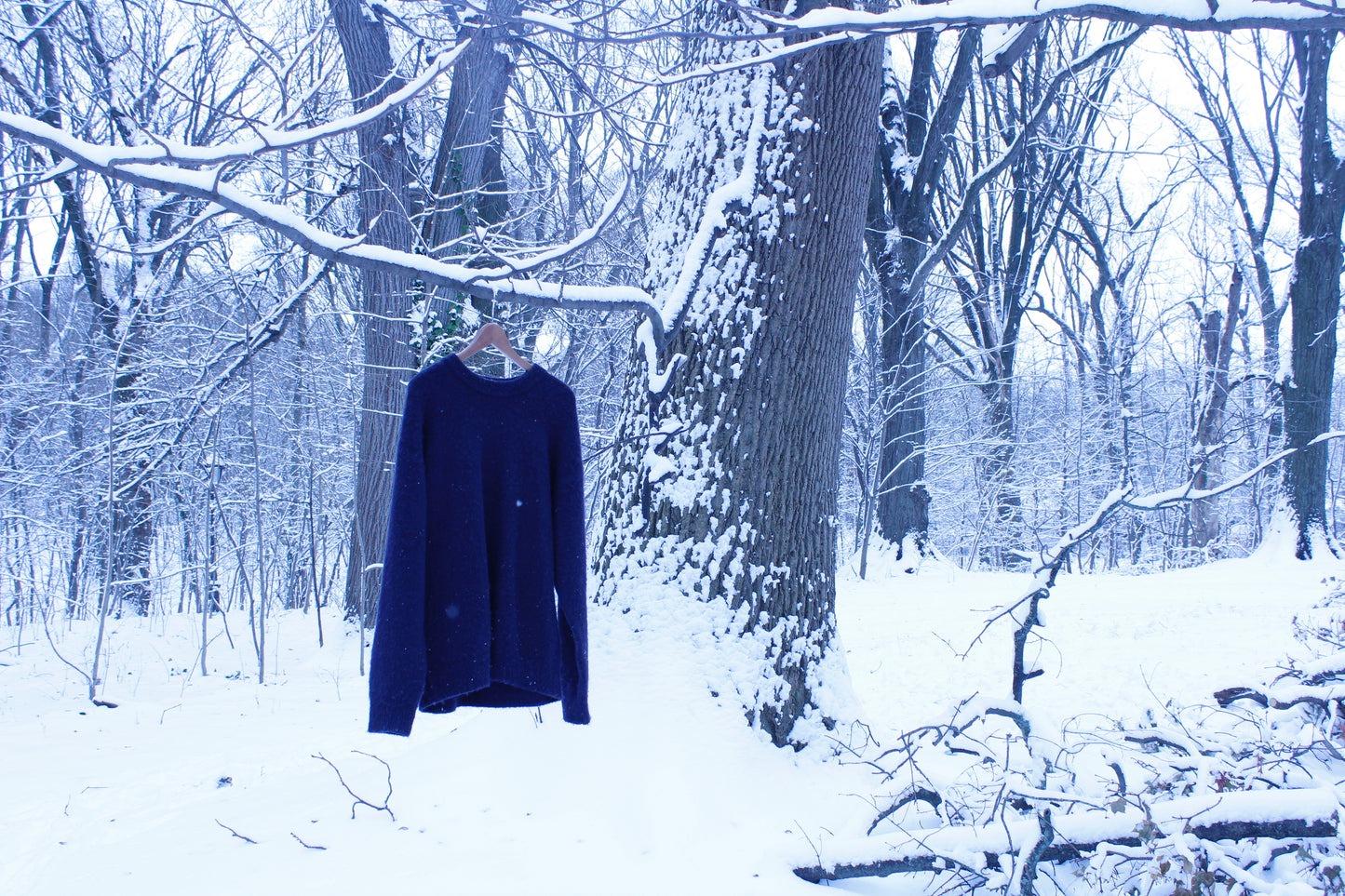 HAVLOW Lambswool Sweater